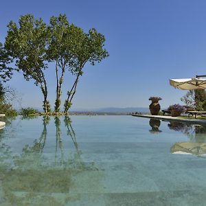 Villa Cicolina